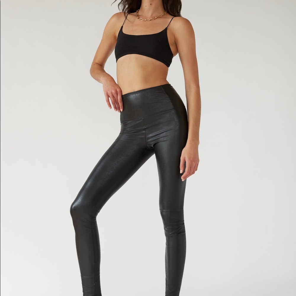 Aritzia Daria Pant